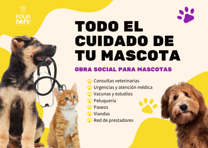 Four Care — plataforma de cuidado de mascotas por suscripción (MVP web)